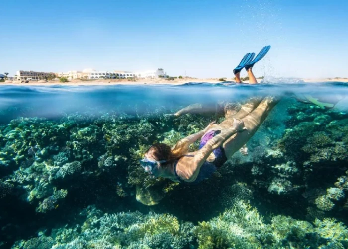 viaggio organizzato egitto