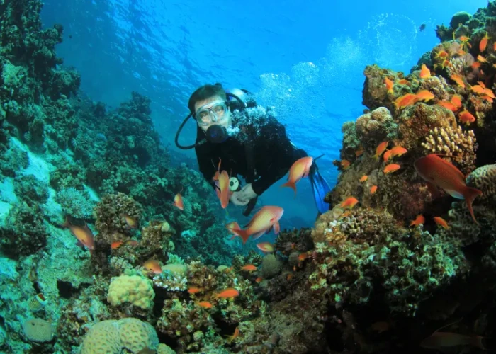 Viaggio Egitto Piramidi e Mare