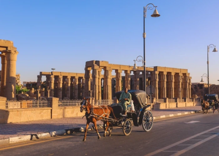 luxor city tour