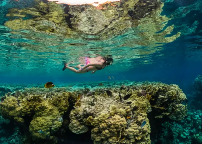Sharm El Luli Snorkeling
