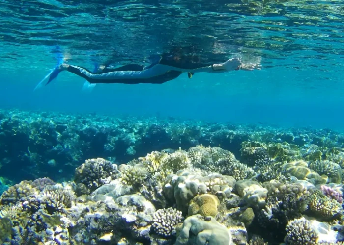 vacanza in egitto ad agosto