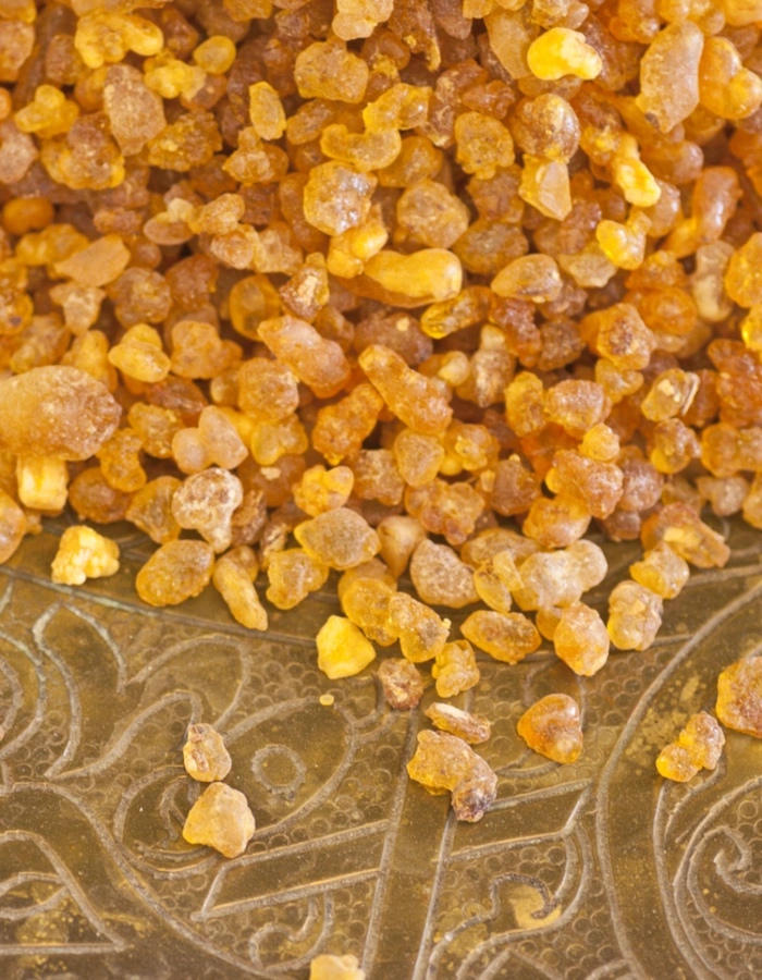 Oriental Frankincense Resin