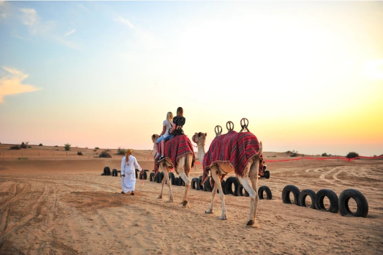 Safári no Deserto, Pacote Turístico para Dubai no Fim do Ano