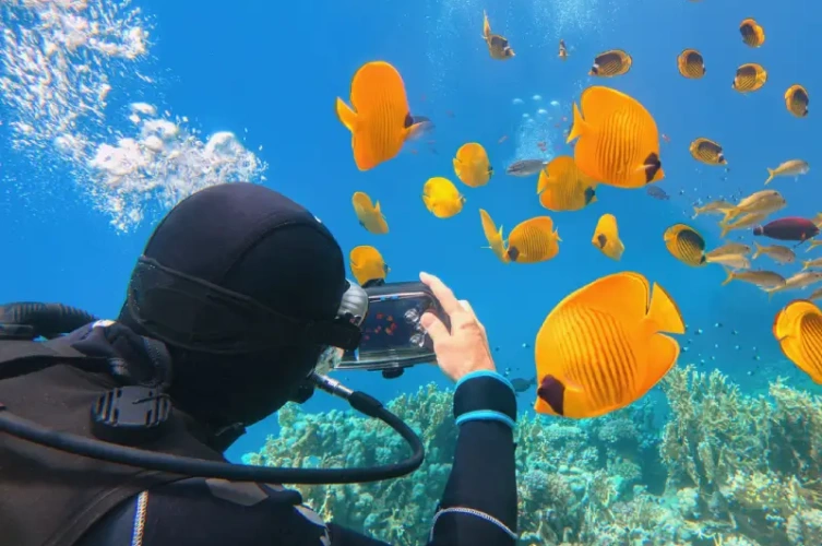 Uomo che fa Snorkelling, offerte vacanze agosto egitto