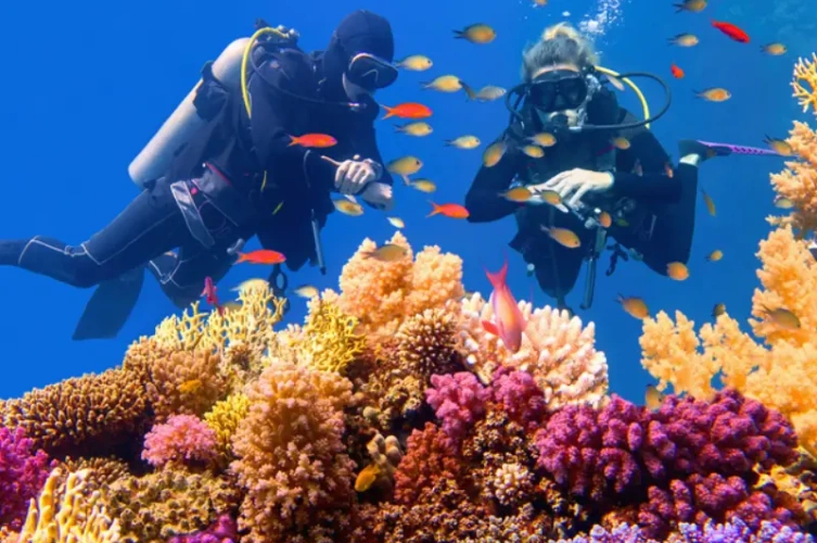 due persone che fanno snorkelling, viaggi pasqua egitto
