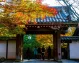 Tempio Ryoanji, tour guidato giappone