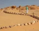 Wadi Hitan Deserto Egitto