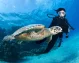 tour egitto piramidi e mare tour egitto piramidi e mare