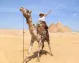 Viaggio in Egitto con Crociera sul Nilo
