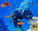 escursione isola di tiran