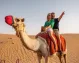 The Best of India, Dubai and Thailand