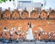 Dubai, India and Thailand travel package