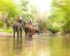 India, Dubai and Thailand travel package