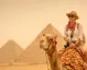 Turista de vacaciones montando camellos frente a las pirámides. Egipto, El Cairo - Guiza.