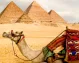 Las Pirámides del Guiza. Camellos y pirámides de Giza