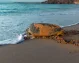 Viaggio Organizzato Oman
