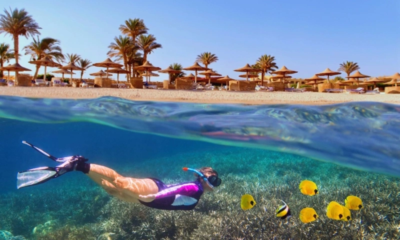 Hurghada Snorkeling, Things to Do in Hurghada Egypt