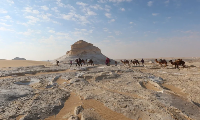 Bahariya Oasis archaeological site, Bahariya Oasis Egypt