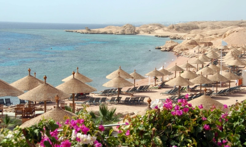 Red Sea Coast, Marsa Alam Egypt