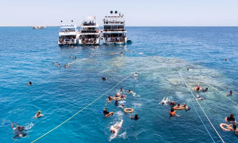 Tourists dive and swim in coral reefs on tour boats in the Red Sea, El Gouna Egypt
