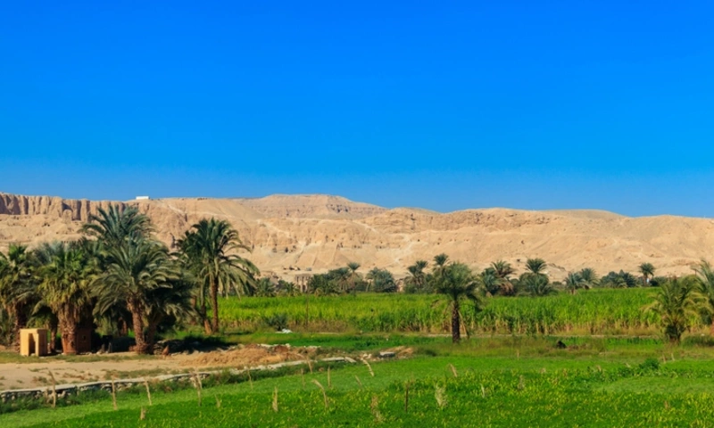 Green farmland along the banks of the Nile in Egypt, Life in Ancient Egypt