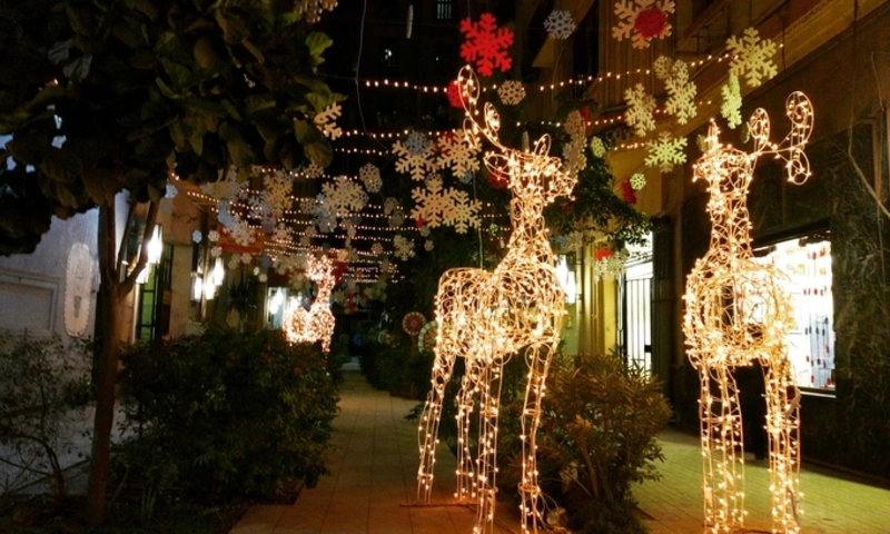 Christmas in Cairo, Christmas in Egypt