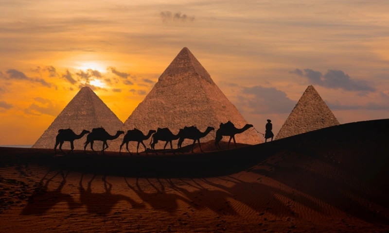 Camel caravan in front of the Great pyramid of Giza complex at amazing sunset, Ancient Egyptian Pharaohs