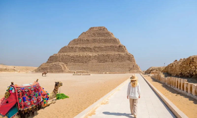 Camellos junto a la pirámide escalonada de Zoser en Saqqara, Egipto, pirámide de zoser .