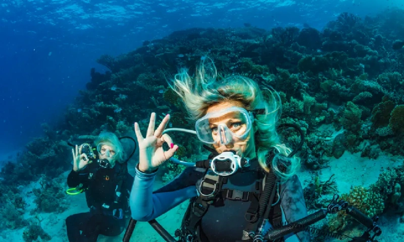 Dos buceadoras explorando y disfrutando de la vida marina y los arrecifes de coral bajo el agua, mar rojo en egipto
