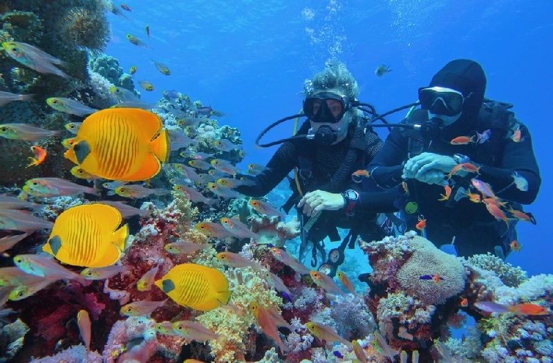 Hurghada Piramidi, una coppia al fondo del mare Hurghada