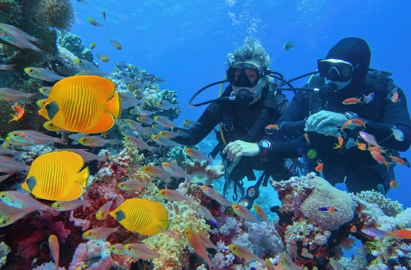 Vacanze in Egitto a Natale, due persone sotto il mare