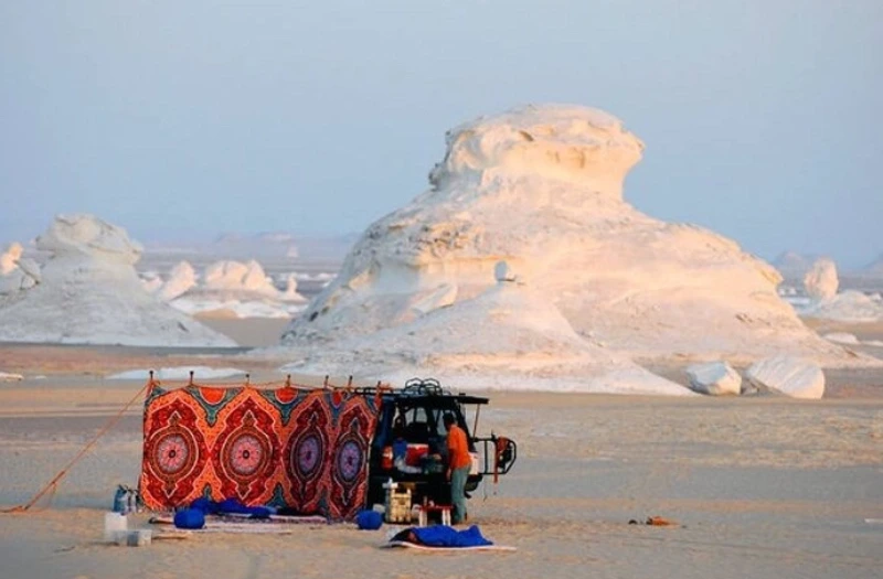 Egitto deserto, un campo al deserto