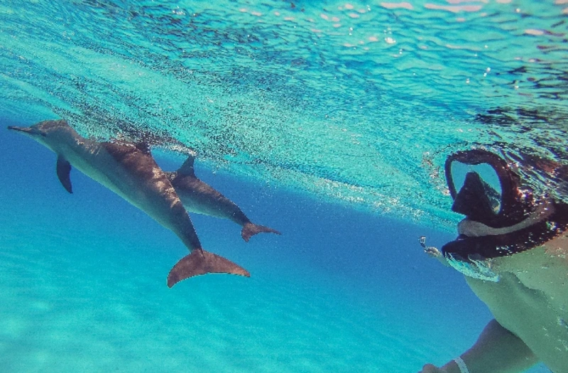 Cairo, crociera sul Nilo e Marsa Alam, Un giovane pratica lo snorkeling