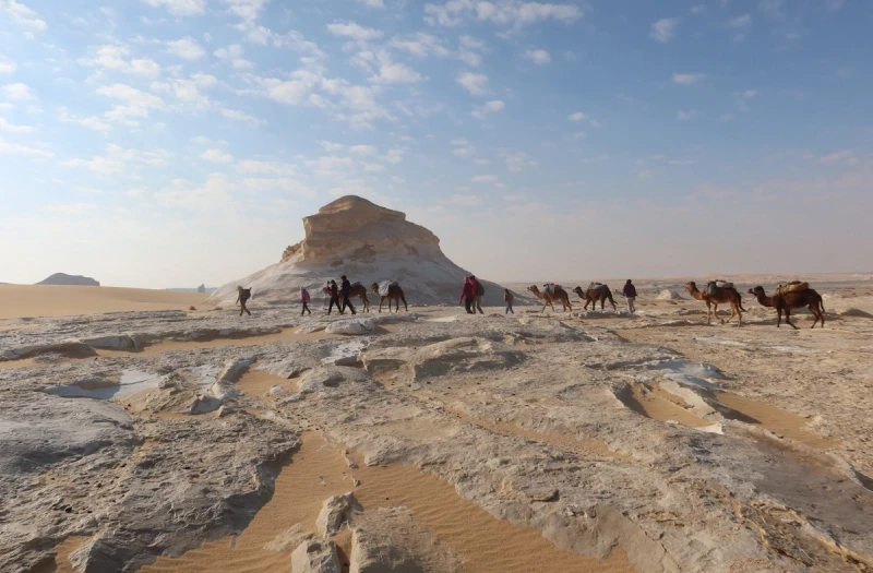 Oasi Egitto, UN GRUPPO CON CAMMELLI AL DESERTO