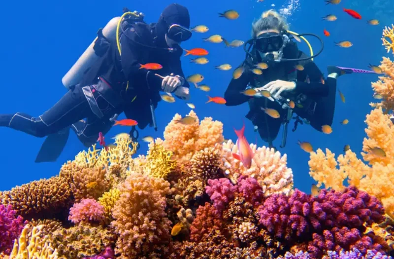 due persone che fanno snorkelling, viaggi pasqua egitto