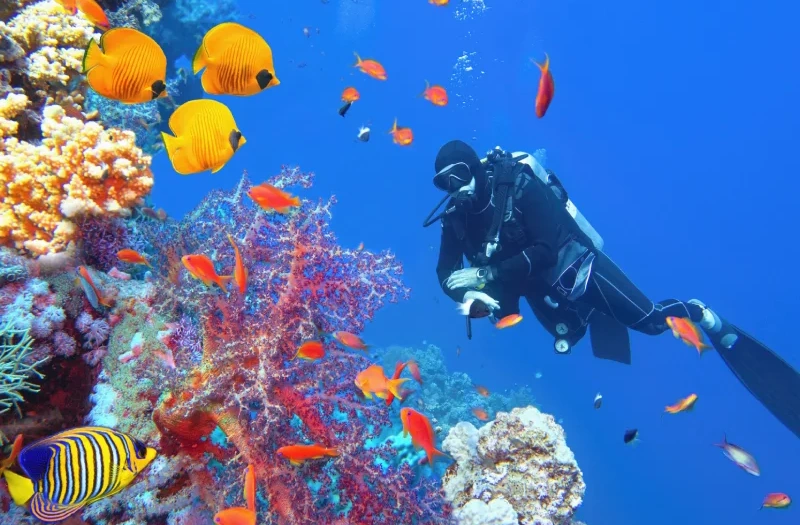 Uomo che fa Snorkelling a sharm, tour egitto e petra