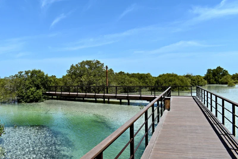 Cose da Vedere ad Abu Dhabi | Cose da Vedere ad Abu Dhabi