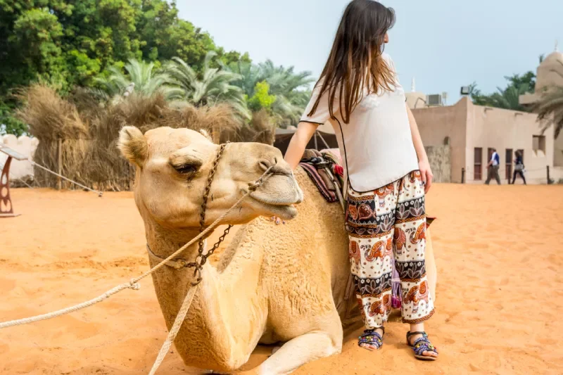 Cose da Vedere ad Abu Dhabi | Cose da Vedere ad Abu Dhabi