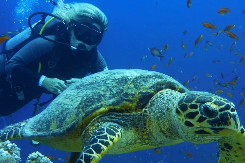 Egitto Mete Turistiche