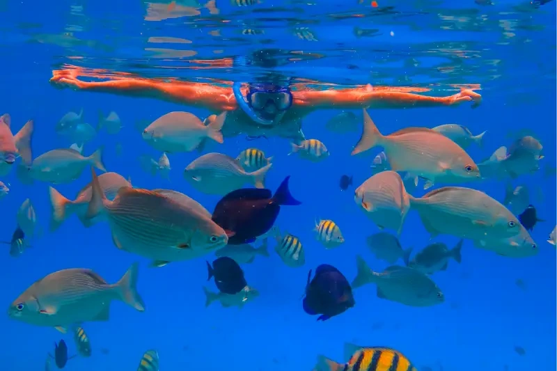 Marsa Alam o Sharm el Sheikh