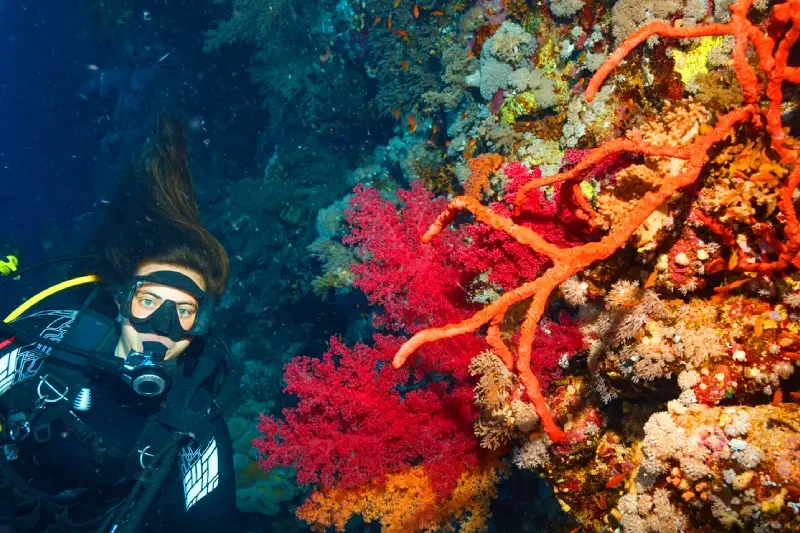 Marsa Alam o Sharm el Sheikh