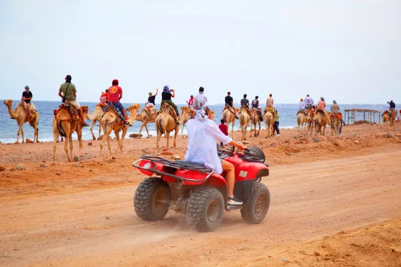 Marsa Alam o Sharm el Sheikh