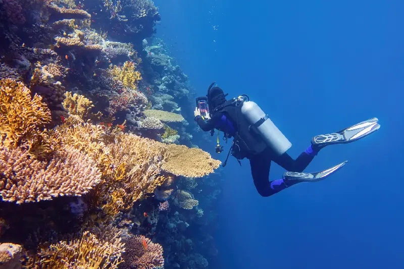 Marsa Alam o Sharm el Sheikh