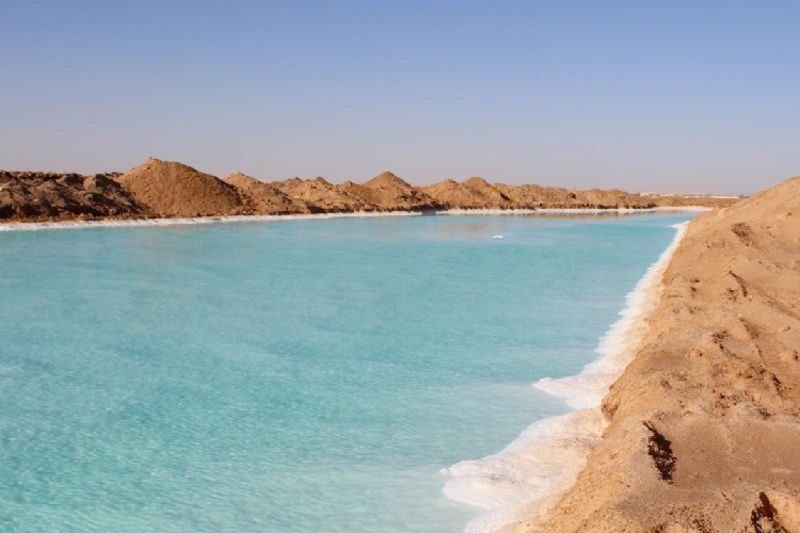 Oasis de sal en Siwa 