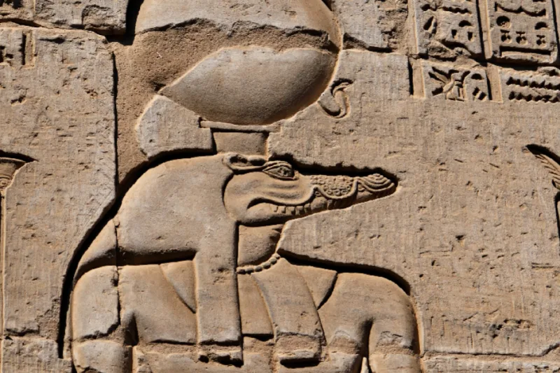 símbolo de Cocodrilo que representa el Dios Sobek en el Templo de Kom Ombo