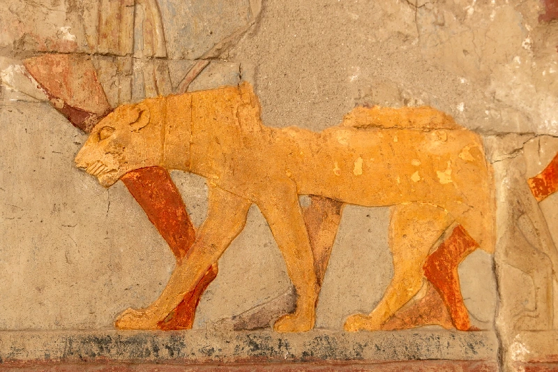 símbolo de una Leona en el Muro del Templo de Karnak en Luxor