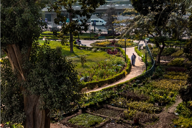 el Parque Al Horeya en Egipto en Primavera
