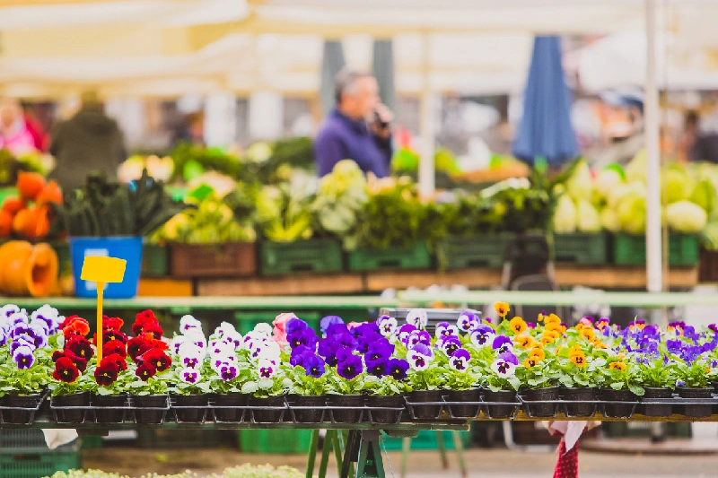 La Feria de las Flores de Egipto en Primavera