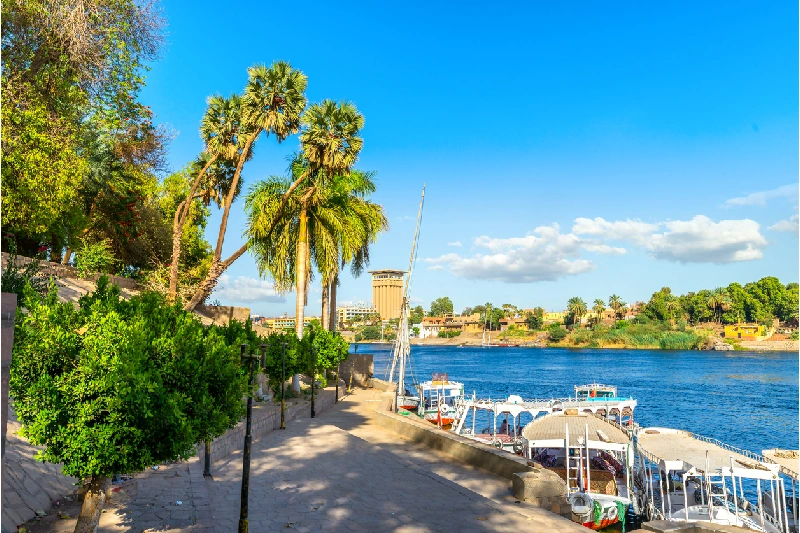 Parque en Asuán, Egipto en Primavera