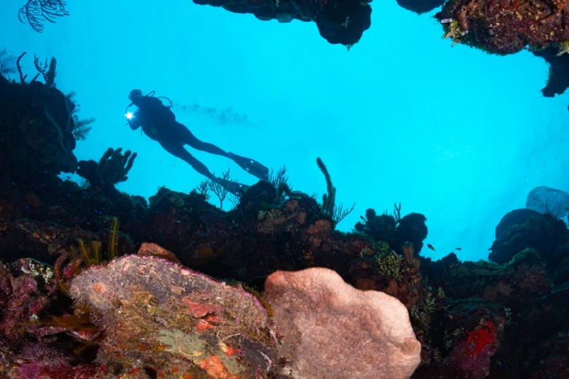 Buceador explorando el Agujero Azul en Dahab, Egipto, rodeado de arrecifes de coral y aguas cristalinas